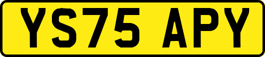 YS75APY