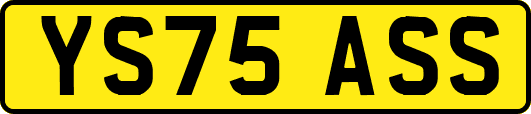 YS75ASS