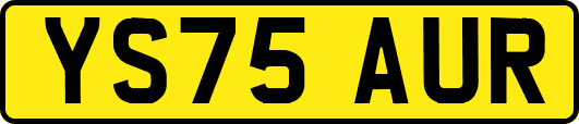 YS75AUR