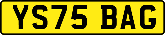 YS75BAG