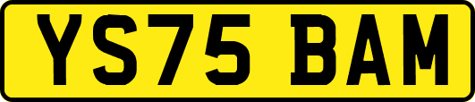 YS75BAM