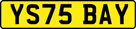 YS75BAY