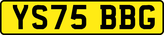 YS75BBG