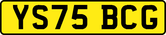 YS75BCG