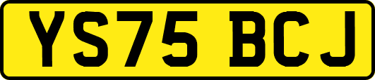 YS75BCJ