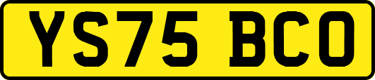 YS75BCO