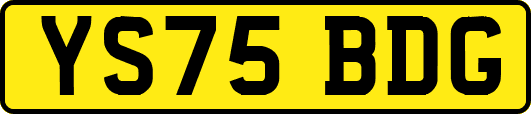 YS75BDG