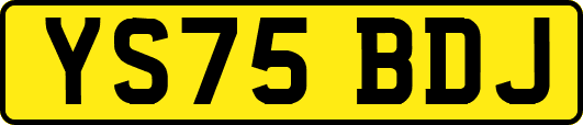 YS75BDJ
