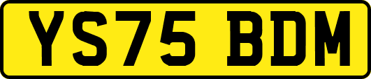YS75BDM