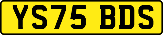 YS75BDS