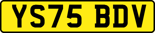 YS75BDV