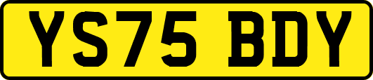 YS75BDY