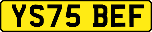 YS75BEF