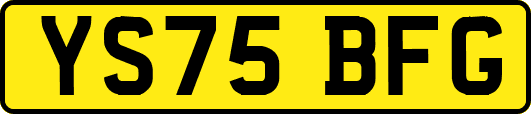 YS75BFG