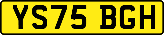 YS75BGH