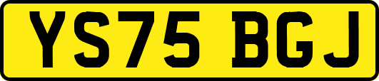 YS75BGJ