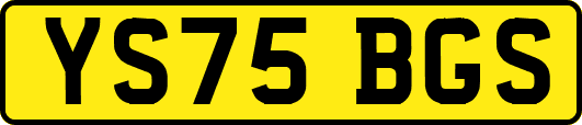 YS75BGS
