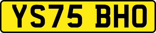 YS75BHO