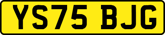 YS75BJG