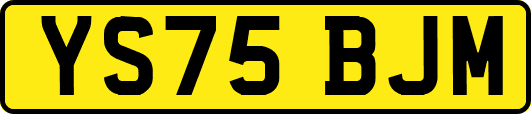 YS75BJM
