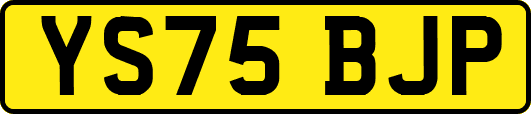YS75BJP