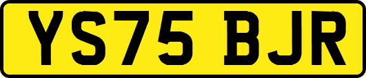 YS75BJR