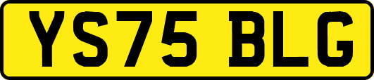 YS75BLG