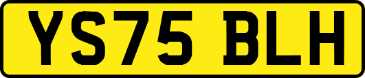 YS75BLH