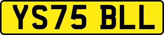 YS75BLL