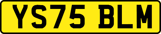 YS75BLM
