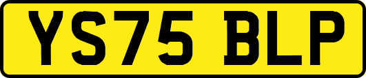YS75BLP
