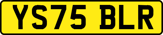 YS75BLR