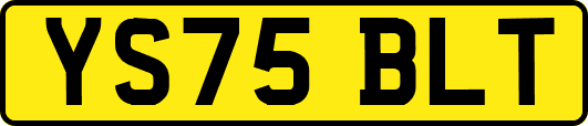 YS75BLT