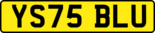 YS75BLU
