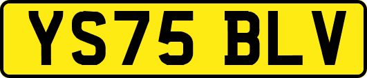 YS75BLV