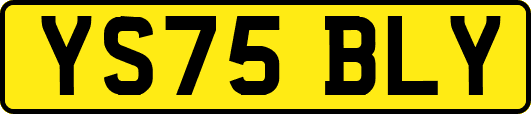YS75BLY