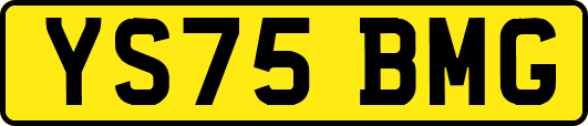 YS75BMG