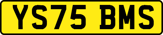YS75BMS