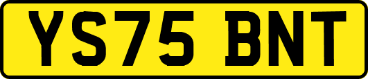 YS75BNT