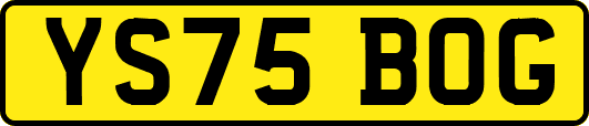 YS75BOG