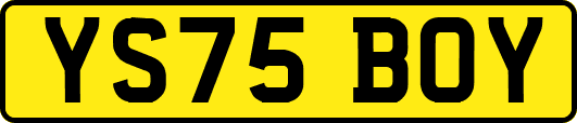YS75BOY