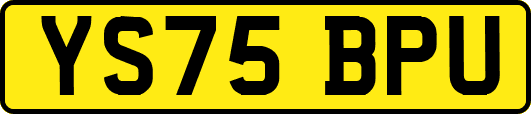 YS75BPU