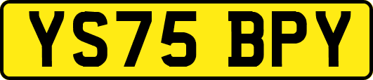 YS75BPY