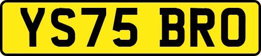 YS75BRO