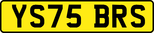 YS75BRS