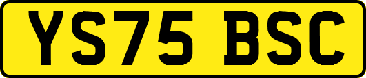 YS75BSC
