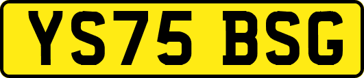 YS75BSG