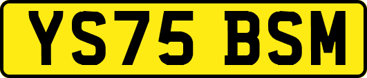 YS75BSM