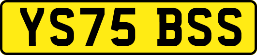 YS75BSS