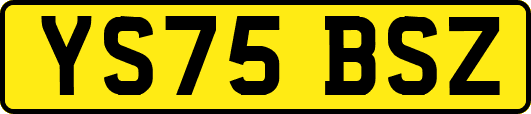 YS75BSZ
